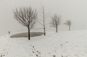 MONTE GREM tra la nebbia - 1 dicembre 2012  FOTOGALLERY